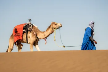 Dromedaris voor vervoer spullen van organisatie