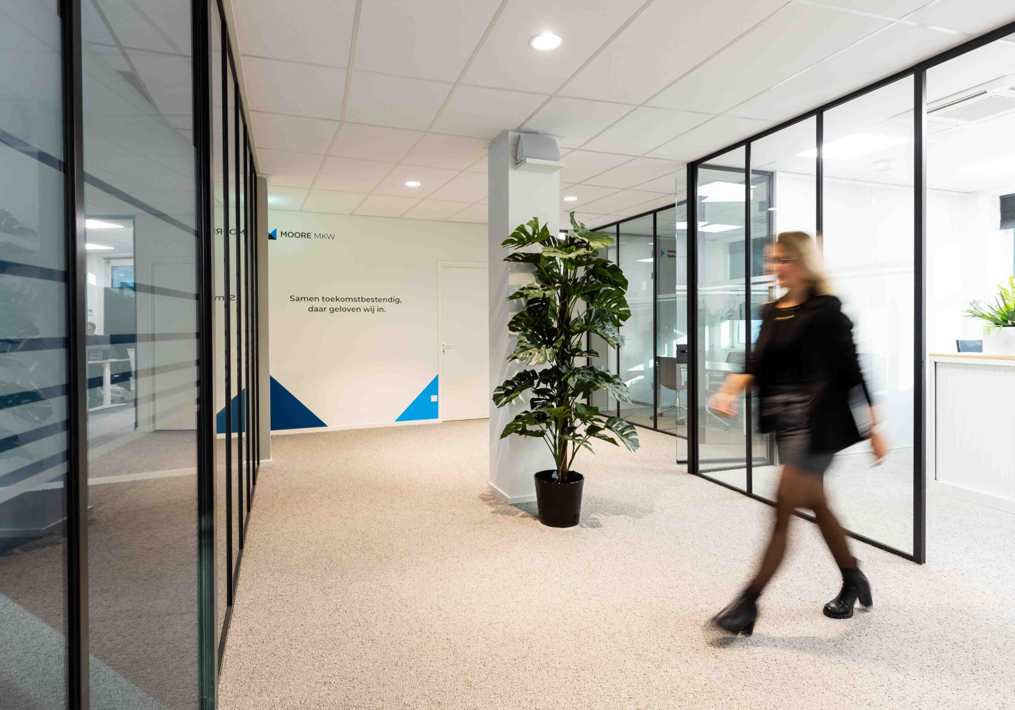 Zwolle Moore MKW 7
